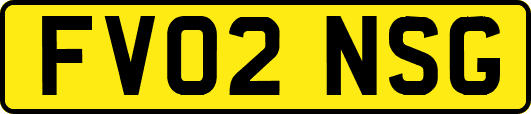 FV02NSG