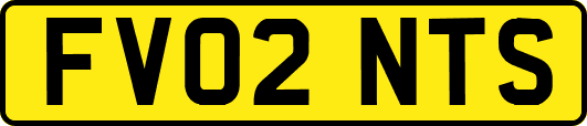 FV02NTS