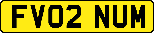 FV02NUM