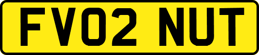 FV02NUT