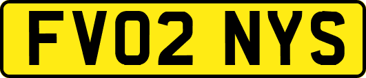 FV02NYS