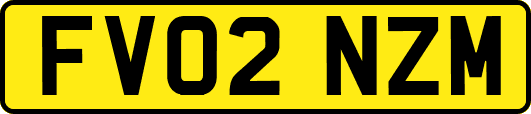 FV02NZM