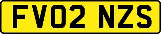 FV02NZS