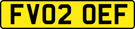 FV02OEF