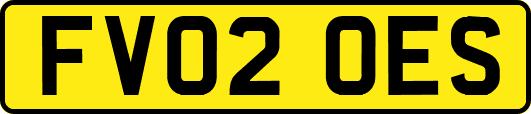 FV02OES