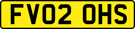 FV02OHS