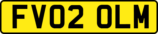 FV02OLM