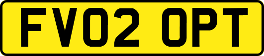 FV02OPT