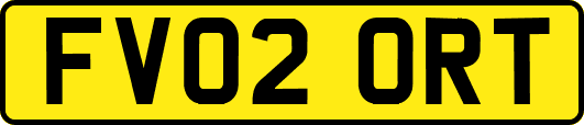FV02ORT