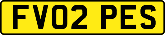 FV02PES