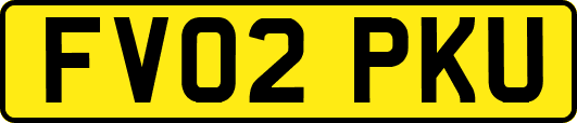 FV02PKU