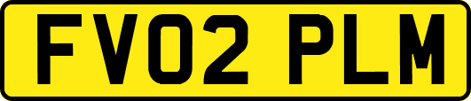 FV02PLM