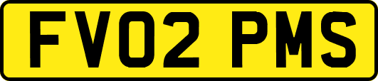 FV02PMS
