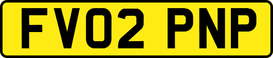 FV02PNP