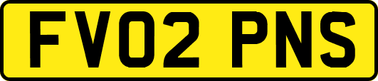 FV02PNS