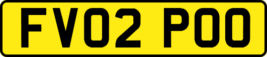 FV02POO