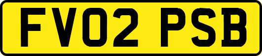 FV02PSB