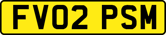 FV02PSM