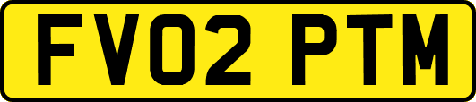 FV02PTM