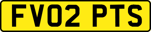 FV02PTS
