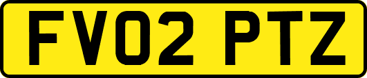 FV02PTZ