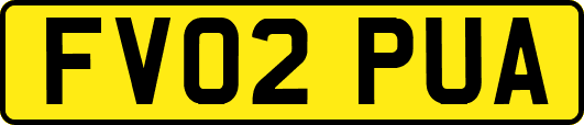 FV02PUA