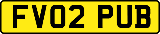 FV02PUB