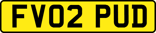 FV02PUD