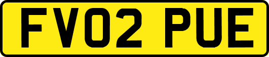 FV02PUE