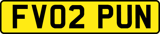 FV02PUN
