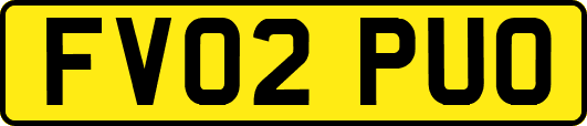 FV02PUO