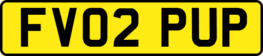 FV02PUP