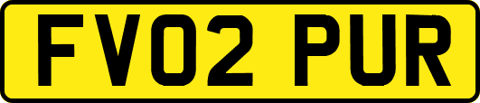 FV02PUR