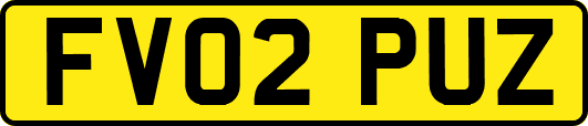 FV02PUZ