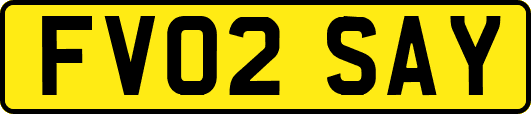 FV02SAY