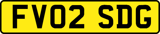 FV02SDG