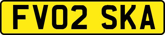 FV02SKA