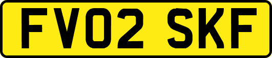 FV02SKF