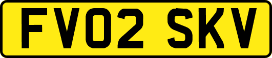 FV02SKV