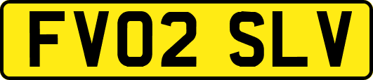FV02SLV