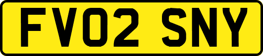 FV02SNY