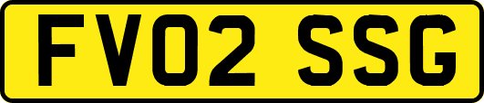FV02SSG