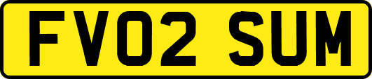 FV02SUM