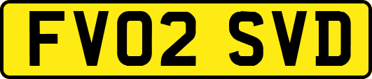 FV02SVD
