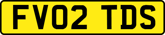 FV02TDS