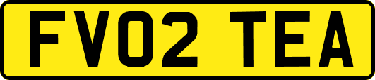 FV02TEA