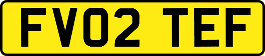 FV02TEF