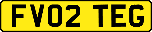 FV02TEG