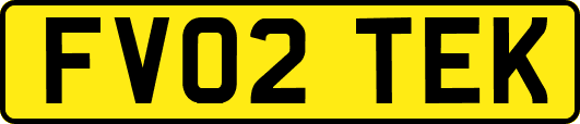 FV02TEK