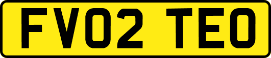 FV02TEO
